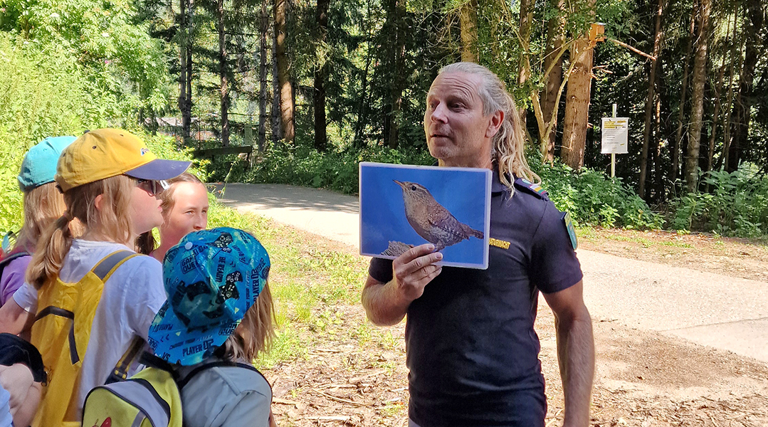 Nistkästenprojekt